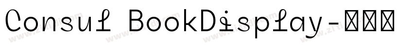 Consul BookDisplay字体转换